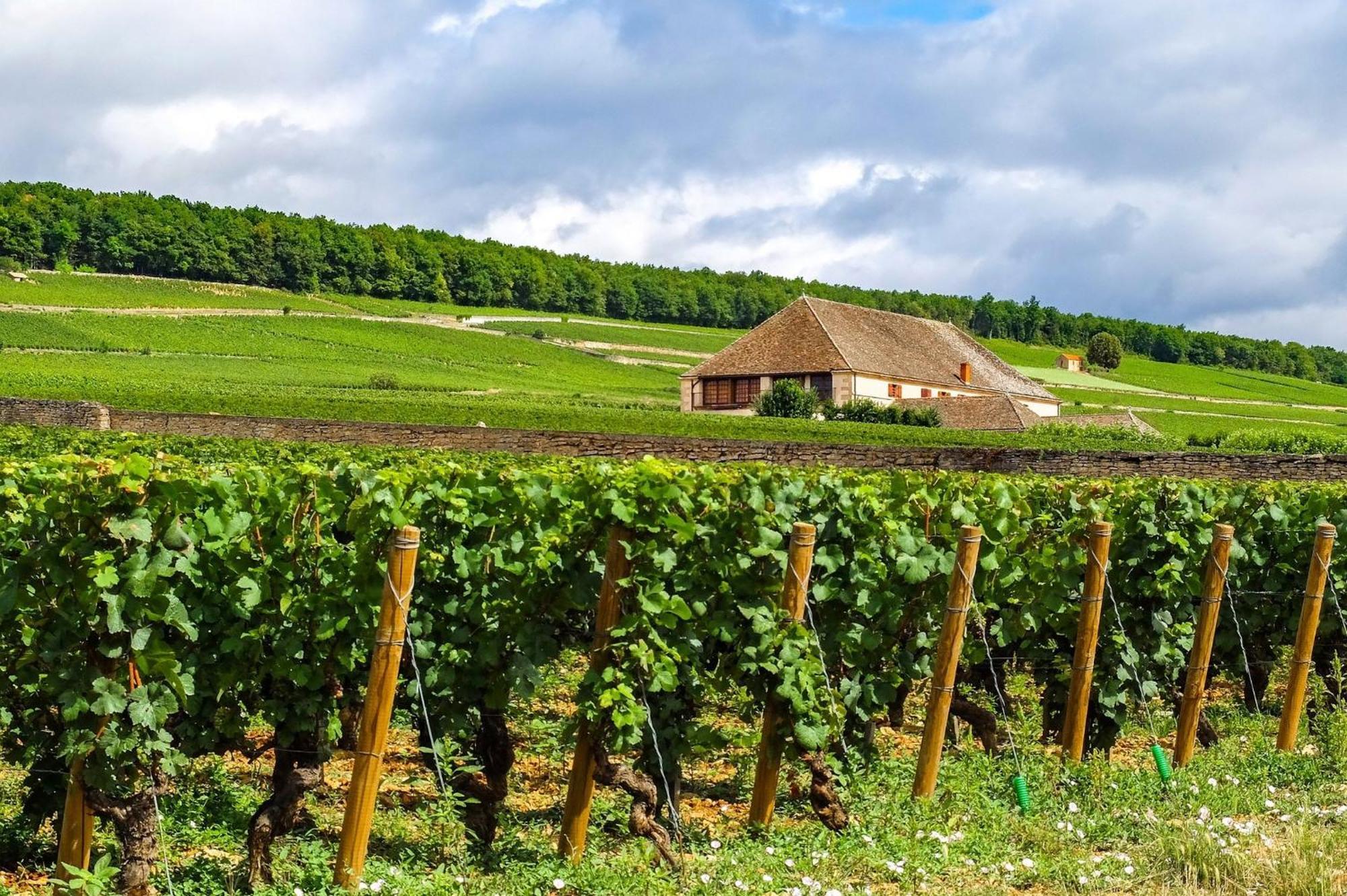 Voco Beaune , Cite Des Vins By Ihg エクステリア 写真